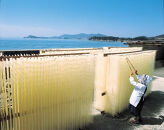 小豆島 手延素麺「島の光 黒帯・古(ひね)物」 5kg(50g×約100束)