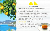 お菓子　レモンケーキ15個（バラ） ギフト 個包装 スイーツ ケーキ  焼き菓子