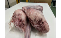 国産牛 テール 丸々1本(約1～2kg)