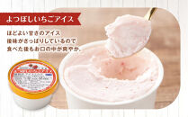 よつぼしいちごアイス・ジェラート 各3個入り