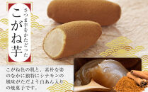 亀の最中・こがね芋詰合せ　15個入 ／ 最中 和菓子 銘菓 埼玉県