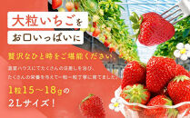 【2026年出荷の先行予約】2Lサイズ　 静岡いちご「紅ほっぺ」40粒　総重量約600ｇ　【20粒（約300ｇ）×2トレイ】 数量限定　人気　リピート多数