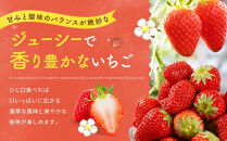 【2027年発送！先行予約】大きめいちご「紅ほっぺ」280g×2パック