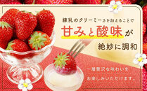 【2027年発送！先行予約】大きめいちご「紅ほっぺ」280g×2パック