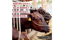 博多和牛ロース定期便【贅沢な6ヶ月間の博多和牛グルメ体験】