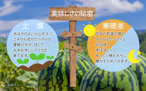 【先行受付】 八色原産 赤玉すいか 小玉 2玉 スイカ 赤肉 西瓜 果物 フルーツ 旬 希少 貴重 甘い 国産 産地直送 ギフト 贈答 自家用 常温 お取り寄せ 送料無料 飯塚農場 新潟県 南魚沼市