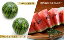 【先行受付】 八色原産 赤玉すいか 小玉 2玉 スイカ 赤肉 西瓜 果物 フルーツ 旬 希少 貴重 甘い 国産 産地直送 ギフト 贈答 自家用 常温 お取り寄せ 送料無料 飯塚農場 新潟県 南魚沼市