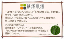 【先行受付】 八色原産 赤玉すいか 小玉 2玉 スイカ 赤肉 西瓜 果物 フルーツ 旬 希少 貴重 甘い 国産 産地直送 ギフト 贈答 自家用 常温 お取り寄せ 送料無料 飯塚農場 新潟県 南魚沼市