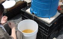 椿農園で採れた椿はちみつ【200ｇ×3本】ギフト箱入り