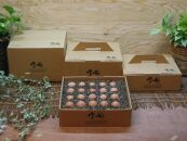 ☆放し飼い自然卵「歩荷」40個入箱
