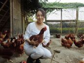 ☆放し飼い自然卵「歩荷」40個入箱