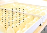 餃子の元博千年の肉汁餃子４０個入り