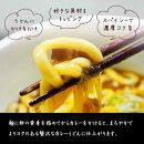 和食麺処サガミ 和ダシが利いた濃厚コク旨カレーうどんの素（10食入り）中辛 具材入り レトルト
