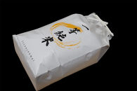 おいしいお米『一等純米』 あいちのかおり 精米  ふるさと納税【稲沢市】