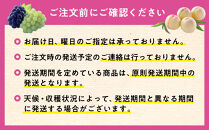 白桃とピオーネとシャインマスカットの詰合せ【数量限定300セット】【白桃&nbsp;もも&nbsp;シャインマスカット&nbsp;シャイン&nbsp;マスカット&nbsp;葡萄&nbsp;ぶどう&nbsp;フルーツ&nbsp;果物&nbsp;セット商品&nbsp;セット&nbsp;数量限定&nbsp;岡山県&nbsp;おすすめ&nbsp;人気&nbsp;新鮮】