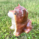 信楽焼　信楽焼&nbsp;豆柴犬（茶）