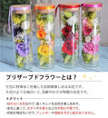 【パープル】プリザーブドフラワー メルティ 高さ約16cm