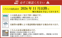 【先行予約】【2026年11月より順次発送】《令和8年産》福岡県大川市産&nbsp;ブランド&nbsp;米「&nbsp;元気つくし&nbsp;」&nbsp;5kg×3個&nbsp;計15kg&nbsp;|&nbsp;お米&nbsp;米&nbsp;こめ&nbsp;精米&nbsp;白米&nbsp;ライス&nbsp;ブランド米&nbsp;ごはん&nbsp;ご飯