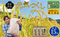 【先行予約】【2026年11月より順次発送】《令和8年産》福岡県大川市産&nbsp;ブランド&nbsp;米「&nbsp;元気つくし&nbsp;」&nbsp;5kg×3個&nbsp;計15kg&nbsp;|&nbsp;お米&nbsp;米&nbsp;こめ&nbsp;精米&nbsp;白米&nbsp;ライス&nbsp;ブランド米&nbsp;ごはん&nbsp;ご飯