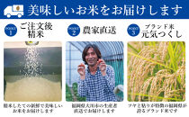 ＼令和7年産 先行予約／ 【2025年11月より順次発送】《令和7年産 》 福岡県大川市産 米 「 元気つくし 」 5kg×4個 計20kg | お米 米 こめ 精米 白米 ライス ブランド米 ごはん ご飯