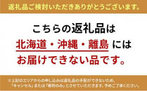 グラッチェ冷凍ハンバーグ3個入ソース２個入り