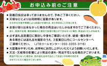 白バラ生ロールケーキギフト（２本）&nbsp;白バラ&nbsp;白バラ牛乳&nbsp;白バラコーヒー&nbsp;デザート&nbsp;スイーツ&nbsp;牛乳&nbsp;ミルク&nbsp;コーヒー&nbsp;珈琲&nbsp;クリーム&nbsp;ホイップクリーム&nbsp;くちどけ&nbsp;しっとり&nbsp;美味しい&nbsp;おいしい&nbsp;人気&nbsp;おすすめ&nbsp;鳥取県&nbsp;琴浦町&nbsp;送料無料