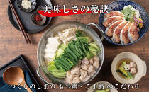 博多もつ鍋&nbsp;（和風だし醤油味）＆ごま鯖&nbsp;和牛モツたっぷり400ｇ&nbsp;3～4人前、博多ごま鯖２P