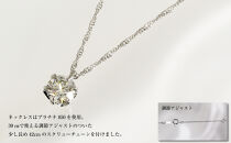 0.5ct（SIクラス）天然ダイヤモンド プラチナネックレス