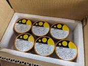 さぬきの珈琲アイス&nbsp;120ml×6個&nbsp;(計720ml)&nbsp;～カフェインレス&nbsp;デカフェ&nbsp;アイスクリーム&nbsp;コーヒー&nbsp;珈琲