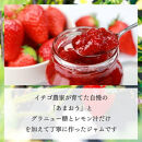 いちごジャム&nbsp;無添加&nbsp;あまおうとグラニュー糖のジャム&nbsp;200g×3袋&nbsp;手作り&nbsp;国産&nbsp;チューブ&nbsp;パウチ入り