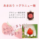 いちごジャム&nbsp;無添加&nbsp;あまおうとグラニュー糖のジャム&nbsp;200g×3袋&nbsp;手作り&nbsp;国産&nbsp;チューブ&nbsp;パウチ入り