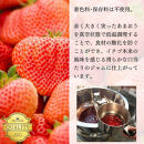 いちごジャム&nbsp;無添加&nbsp;あまおうとグラニュー糖のジャム&nbsp;200g×3袋&nbsp;手作り&nbsp;国産&nbsp;チューブ&nbsp;パウチ入り