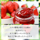 いちごジャム&nbsp;無添加&nbsp;あまおうとオリゴ糖のジャム&nbsp;200g×3袋&nbsp;手作り&nbsp;国産&nbsp;チューブ&nbsp;パウチ入り