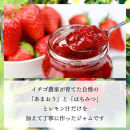 いちごジャム&nbsp;無添加&nbsp;あまおうとハチミツのジャム&nbsp;200g×3袋&nbsp;手作り&nbsp;国産&nbsp;チューブ&nbsp;パウチ入り