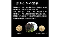 博多和牛シャトーブリアン　480g　