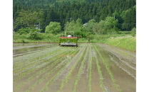 【令和7年度】【頒布会】日本のお米の最高峰　山間地米　南魚沼産コシヒカリ5kg×6カ月