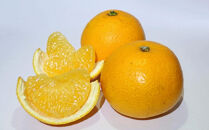 ［手選果&nbsp;訳あり］和歌山&nbsp;由良町産&nbsp;八朔&nbsp;約10kg&nbsp;サイズ混合&nbsp;ご家庭用&nbsp;［TM205］