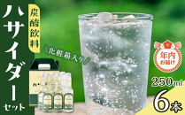 【年内発送】【12月21日ご入金確認分まで】 炭酸飲料 サイダー セット 6本 × 250ml ハサイダー 箱入り｜黒部ダム 破砕帯 飲料 炭酸飲料 サイダー  人気 おすすめ 清涼飲料  ご当地 ドリンク ギフト プレゼント 送料無料 長野県 大町市 ふるさと納税	