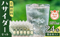 【年内発送】【12月21日ご入金確認分まで】 炭酸飲料 サイダー セット 24本 × 250ml ハサイダー｜黒部ダム 破砕帯 飲料 炭酸飲料 サイダー  人気 おすすめ 清涼飲料  ご当地 ドリンク ギフト プレゼント 送料無料 長野県 大町市 ふるさと納税