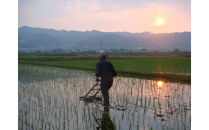 【R7年産】南魚沼産コシヒカリ精米2kg&nbsp;山本家【従来品種】