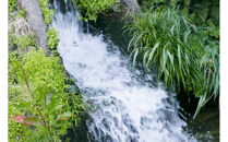 【R7年産】【定期便】南魚沼産コシヒカリ精米2kg×12回&nbsp;山本家【従来品種】