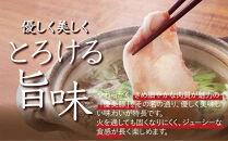 鹿児島県産黒豚「優美豚」ロース三昧セット