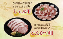 鹿児島県産黒豚「優美豚」ロース三昧セット