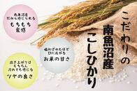 【令和7年度産】【定期配送】南魚沼産コシヒカリ特別栽培米&nbsp;白米&nbsp;5kg&nbsp;全12回