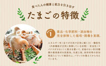 【定期便：12か月】【食べチョクアワード2025&nbsp;畜産部門&nbsp;1位の日本一のたまご】単なる平飼いではない『わたしたちのぷらいどたまご』6パック（60個）セット