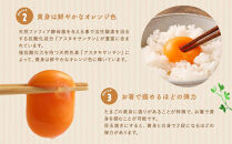 【定期便：6か月】【食べチョクアワード2025&nbsp;畜産部門&nbsp;1位の日本一のたまご】単なる平飼いではない究極の卵『わたしたちのぷらいどたまご』6パック（60個）セット