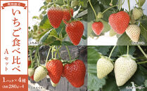 【先行予約受付】≪2026年1月～発送開始≫4種のいちご食べ比べ とちおとめ、とちあいか、スカイベリー、ミルキーベリーのAセット＜各約280ｇ＞ ｜ いちご イチゴ 苺 食べくらべ セット 日光いちご園 渡辺 産地直送 産直 栃木 日光