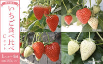 【先行予約受付】≪2026年1月～発送開始≫4種のいちご食べ比べ とちおとめ、とちあいか、スカイベリー、ミルキーベリーのCセット＜各約160ｇ＞ ｜ いちご イチゴ 苺 食べくらべ セット 日光いちご園 渡辺 産地直送 産直 栃木 日光