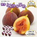 〈2025年8月10日～10月20日発送〉博多とよみつひめ 約280g×8