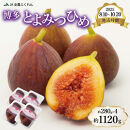 〈2025年8月10日～10月20日発送〉博多とよみつひめ 約280g×4